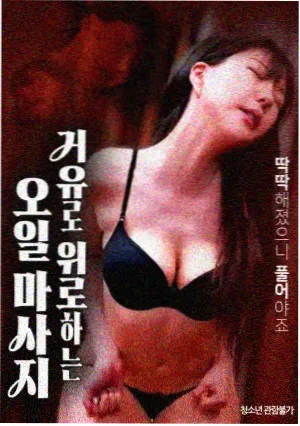 柯南剧场版 粤语 水平线上的阴谋 封面